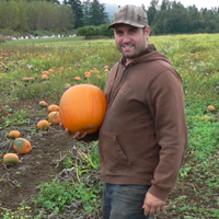 Pumpkins are in!